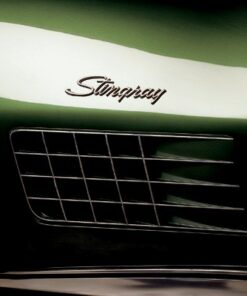 Alternative view of 421-34A C3 Zijtekst "STINGRAY" (4-pin lang) 69-73