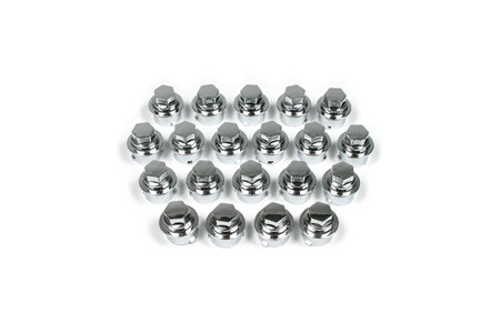 898-019 C5 Wielmoerdopjes chroom set van 20 stuks 00-04