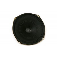 C1 Speaker