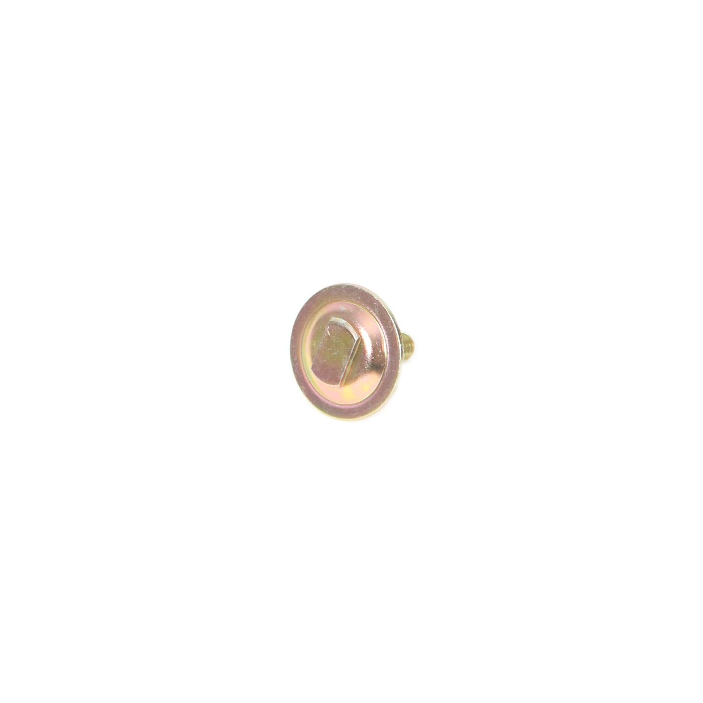 DR-751 Deurruit bevestigingsbout 68-69E