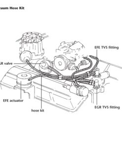 Alternative view of 462-29A Thermostaat EFE vacuümfitting 79