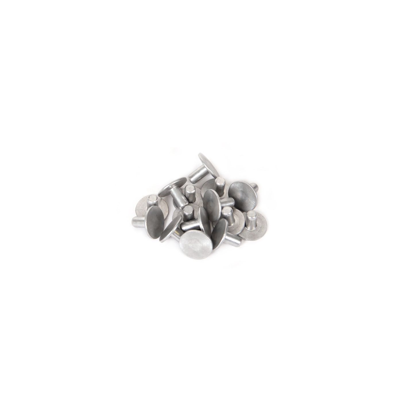 412-24C Klinknagel set met scharnieren voor opbergdeur achter 68-79E - Afbeelding 2