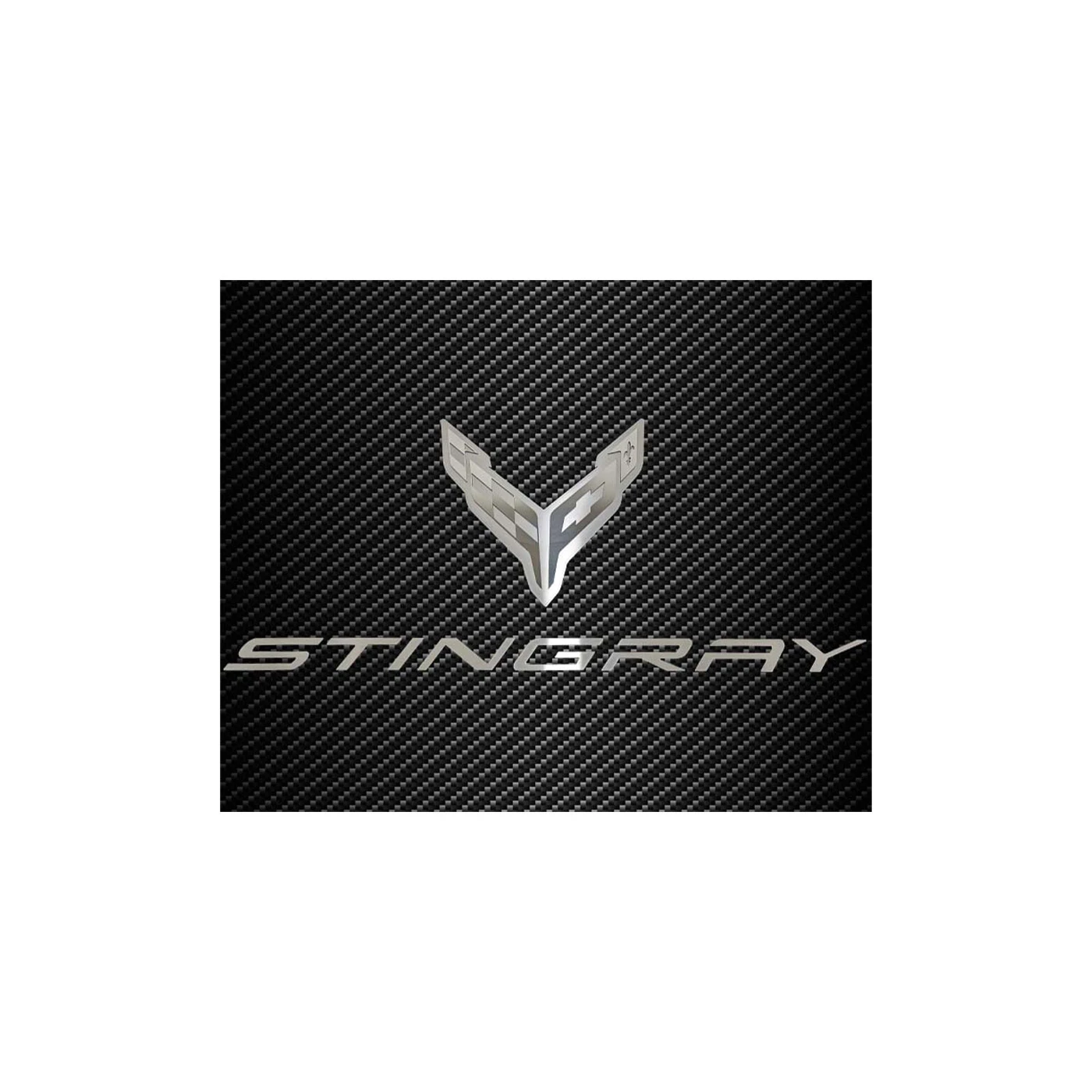 X-4607 Hood Liner RVS embleem met Stingray-script 20-24