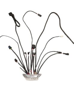 Alternative view of 30013-1 Replacement ECU