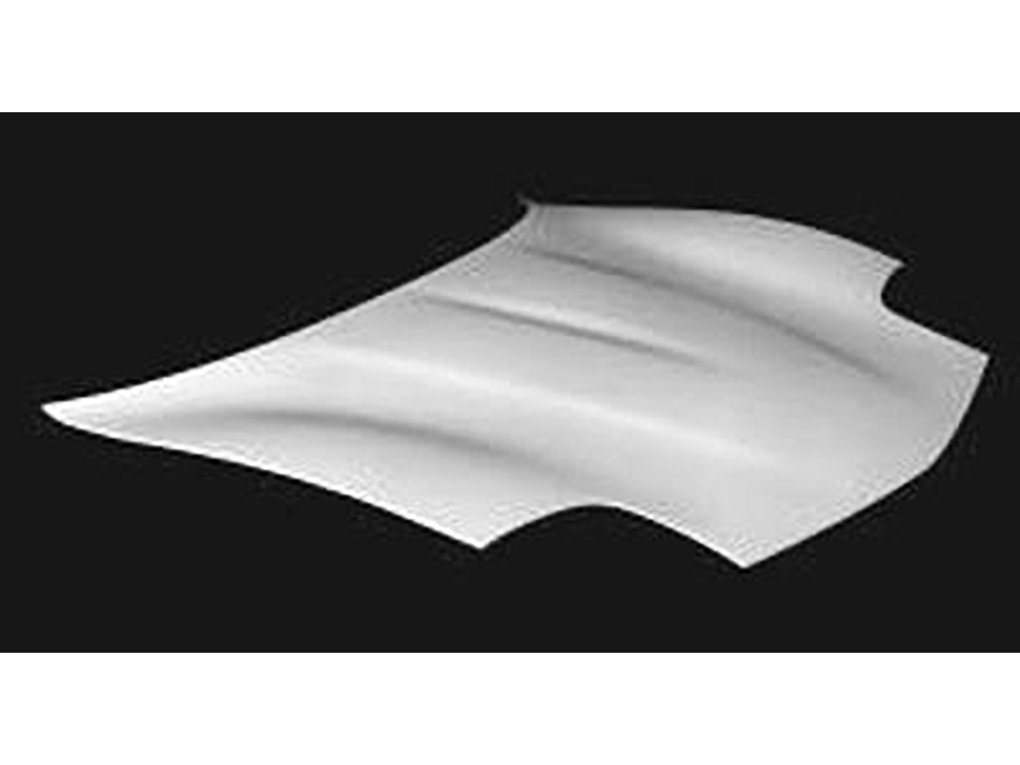 145028 97-04 Hood - lichtgewicht glasvezel (ND)