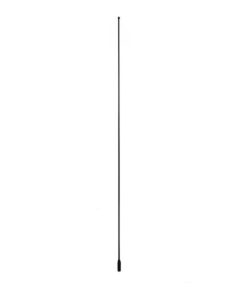 165018 98-04 Antenne Mast - Vaste dak Coupe of Z06