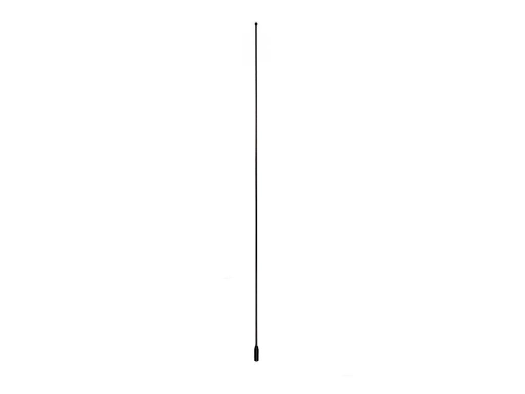 165018 98-04 Antenne Mast - Vaste dak Coupe of Z06