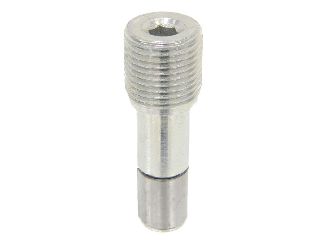 196110 06-13 Z06 achter rem remklauw Pins - set of 12