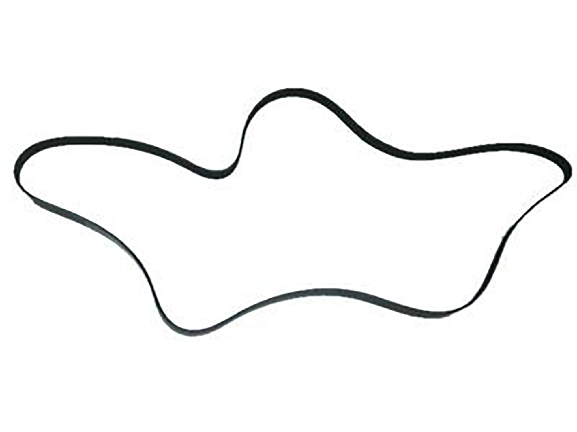 304512 90-95 Serpentine motor aangedreven riem - ZR1