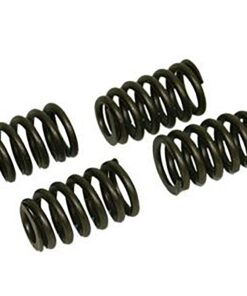 305384 97-05 Valve Springs - Stock (Set van 4)