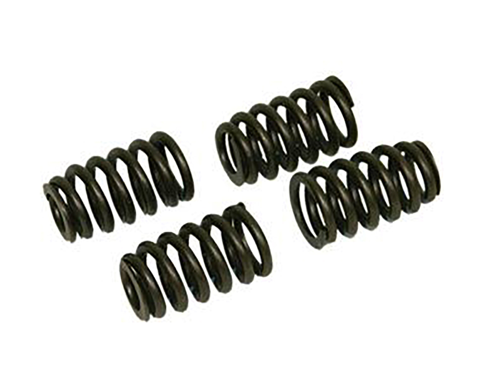 305384 97-05 Valve Springs - Stock (Set van 4)