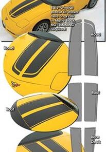 335062 97-04 coupe lemans rally strip kit (nd)