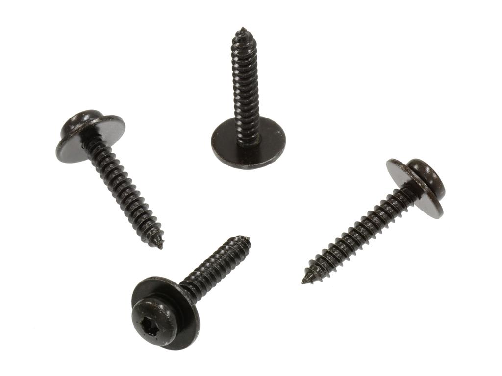 344028 91-96 kentekenplaat Torx Schroeven