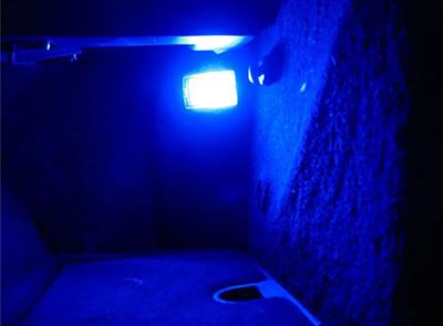 485163 1997-2004 Interieur LED-lichtbollenkit *Specify Color*