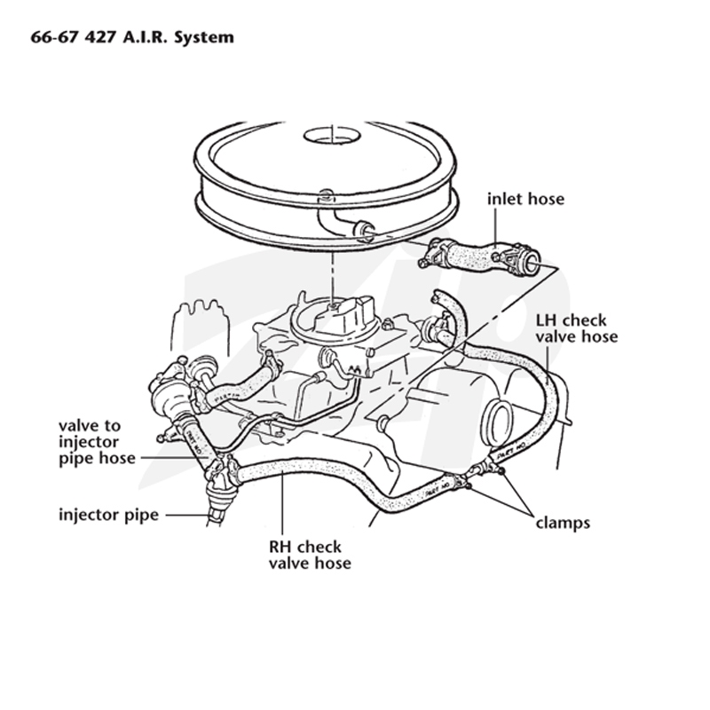 302620 67 A.I.R. (Smog) Pump Outlet Hose (#3902348)