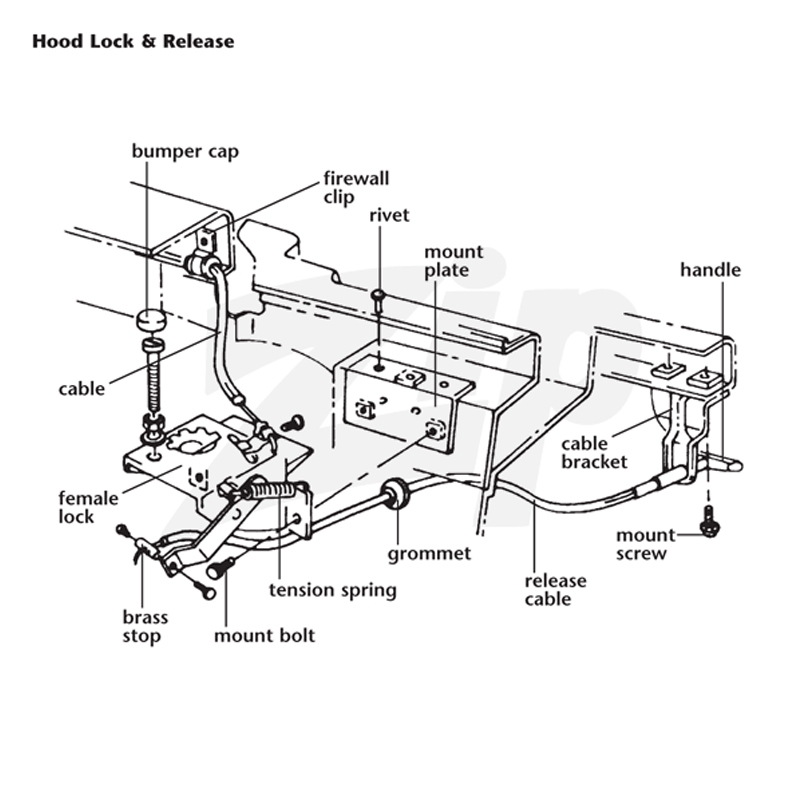 462031 63-66 Hood Release Cable Mount Screws - Afbeelding 3