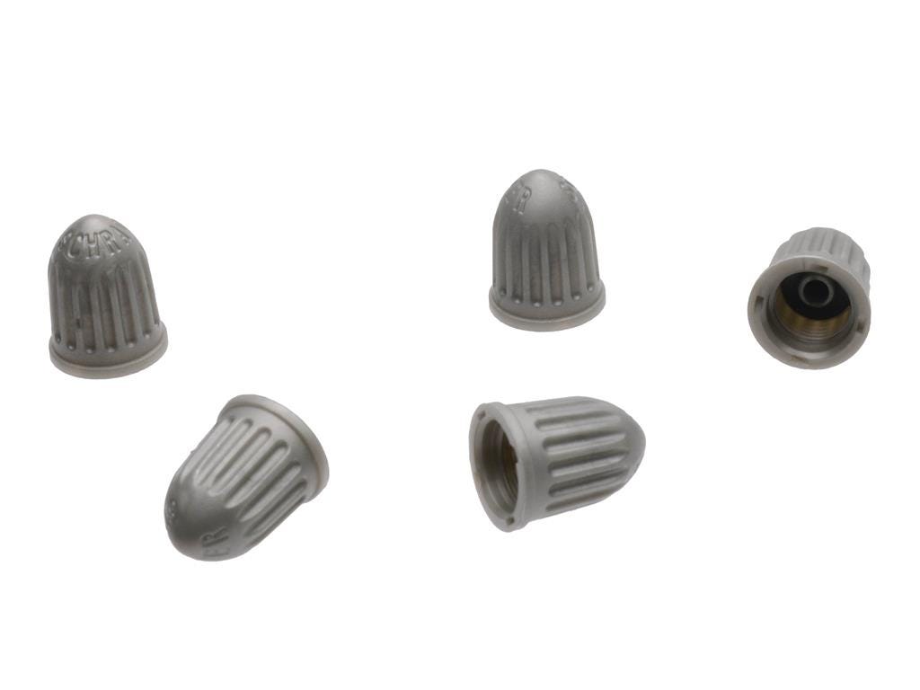 645036 97-99 Valve Stem Cap - Grijs Plastic
