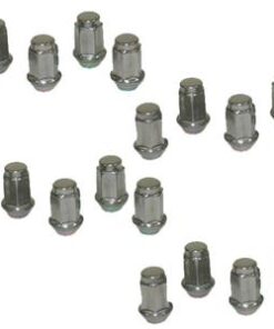 645206 00-19 Wheel Lug Noten - Set van 20 (For Factory Polished Or Chrome Wheels )