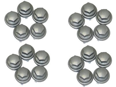 645239 00-04 Wheel Lug Nut Cap - Fabriek - Set van 20