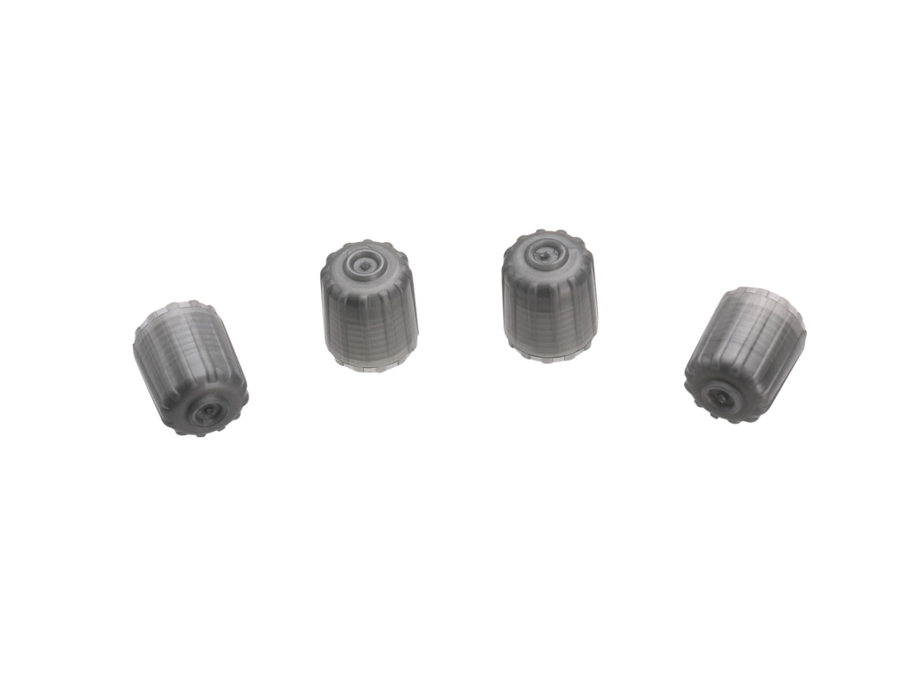 645321 1997-2025 Valve Stem Caps - Gray Plastic Factory (Set van 5)