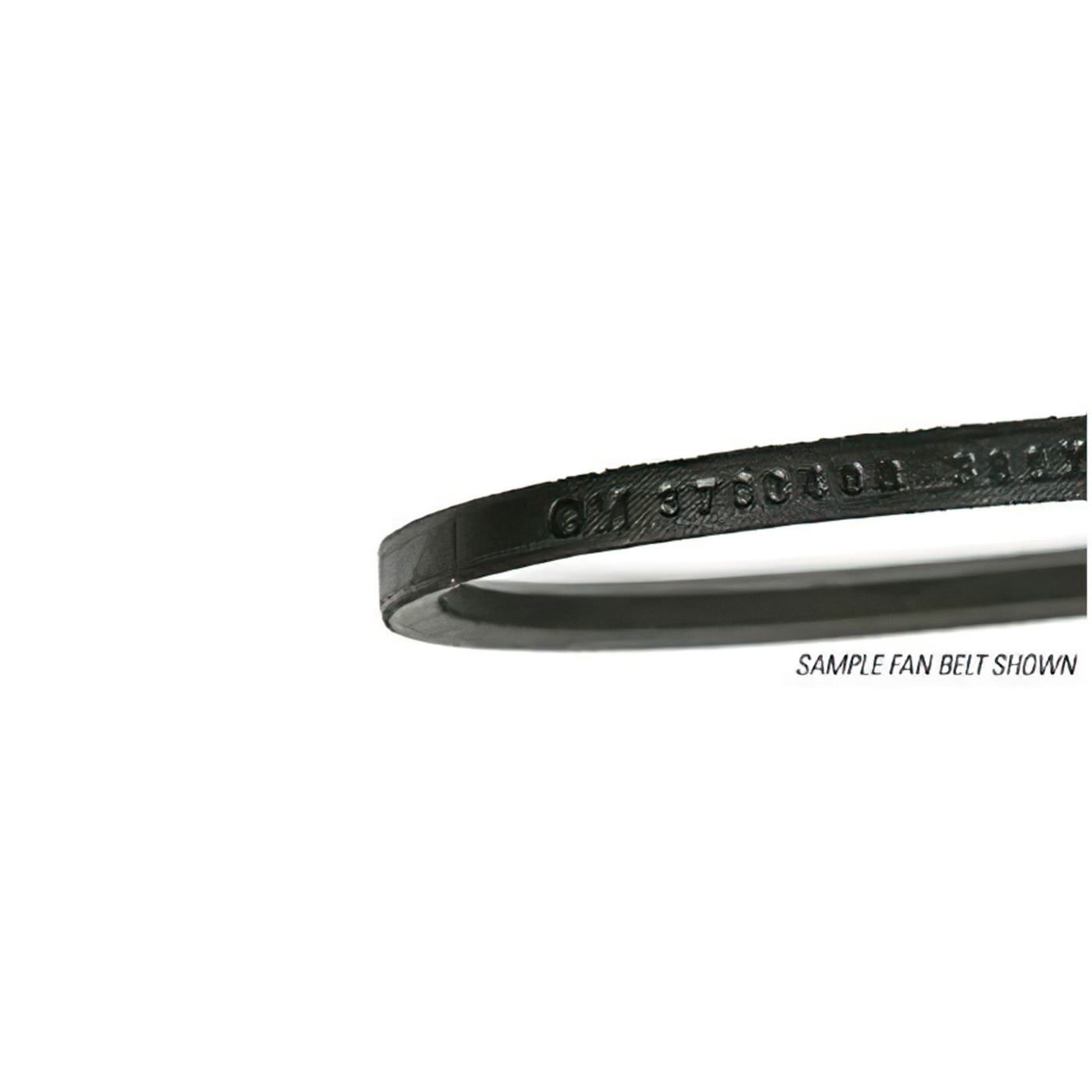 302516 64-65 350 & 365hp w/AC Alternator Belt